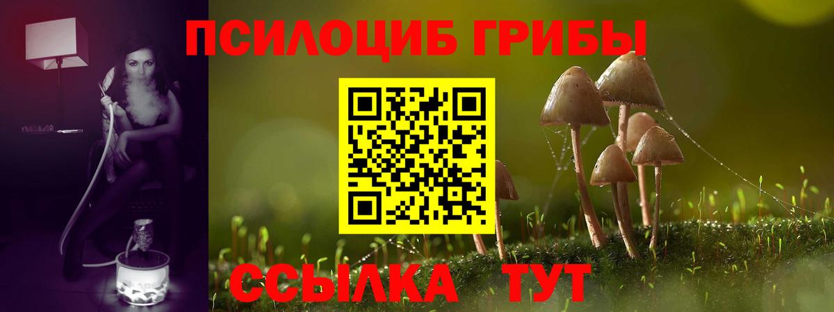 Галлюциногенные грибы GOLDEN TEACHER Лесосибирск